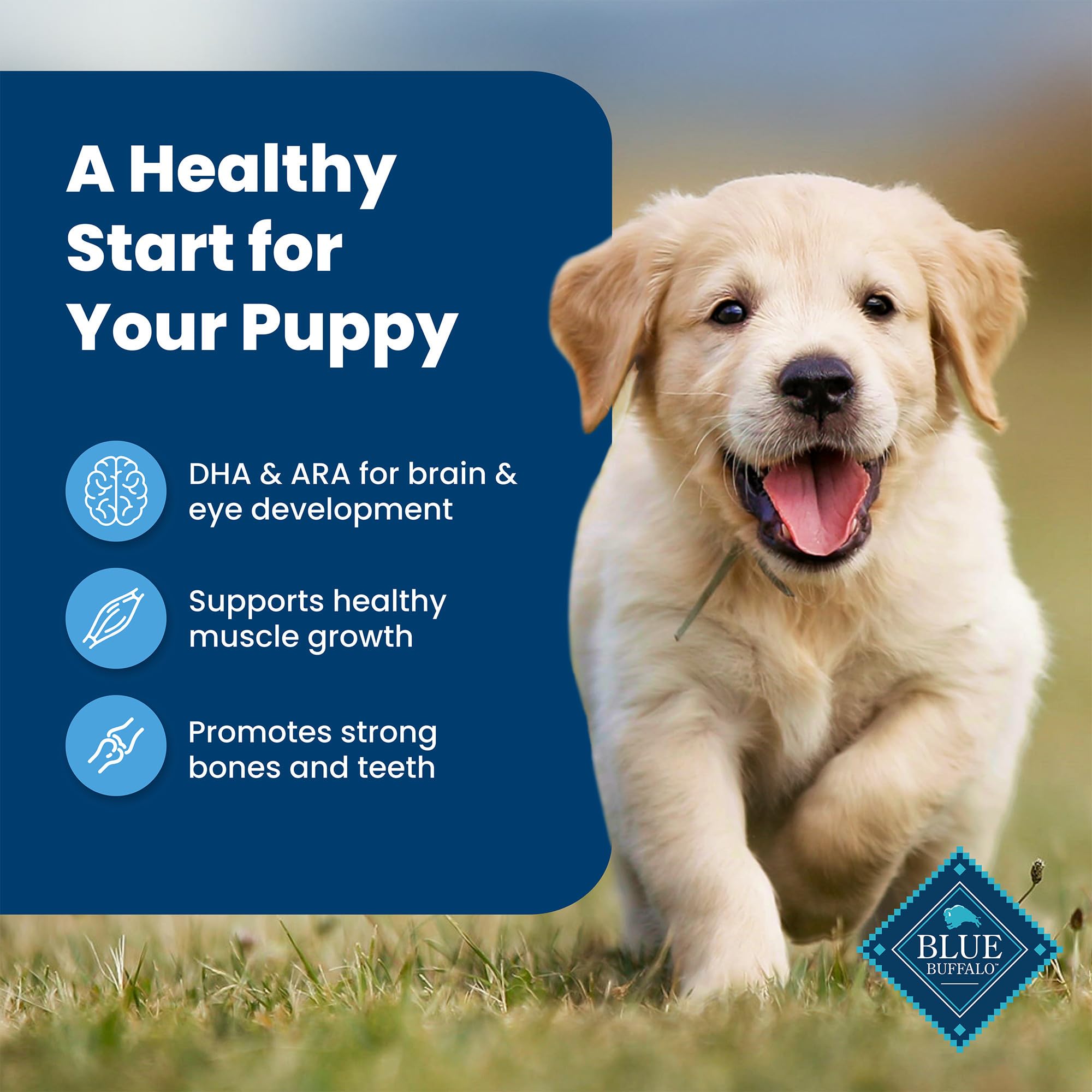 Foto 6 pulgar | Comida Para Perros Blue Buffalo Life Protection Puppy, 6,8 Kg - Venta Internacional.