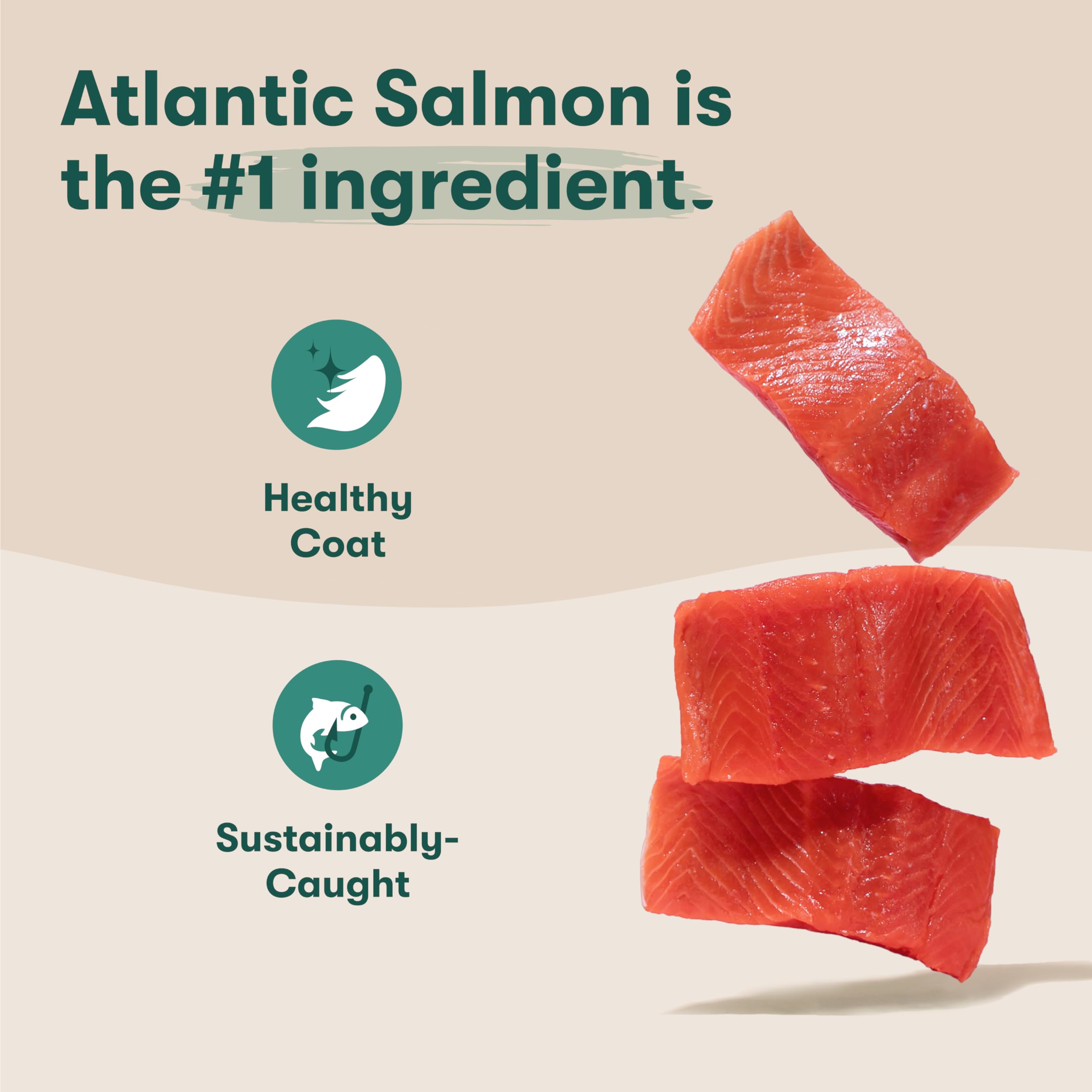 Foto 3 pulgar | Alimento Seco Para Perros Jinx Premium Real Salmon, 5,2 Kg, Para Todas Las Etapas De La Vida - Venta Internacional.