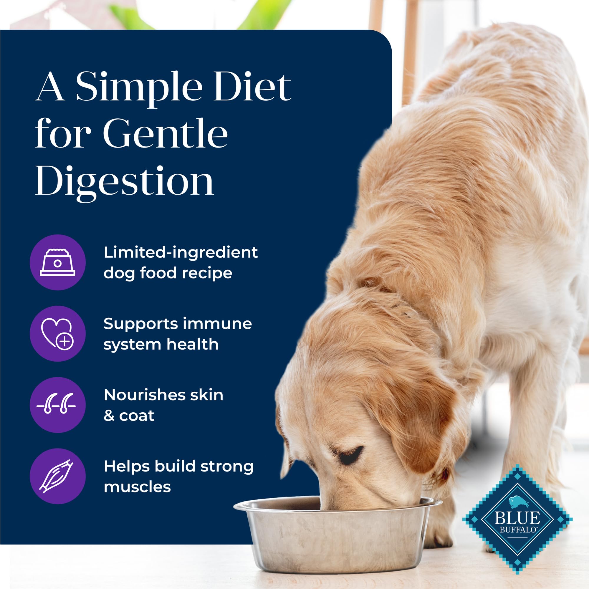 Foto 4 pulgar | Alimento Para Perros Blue Buffalo Basics Para Adultos, Cuidado De La Piel Y El Estómago, 5 Kg - Venta Internacional.