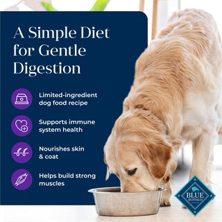 Foto 3 | Alimento Para Perros Blue Buffalo Basics Para Adultos, Cuidado De La Piel Y El Estómago, 5 Kg - Venta Internacional.