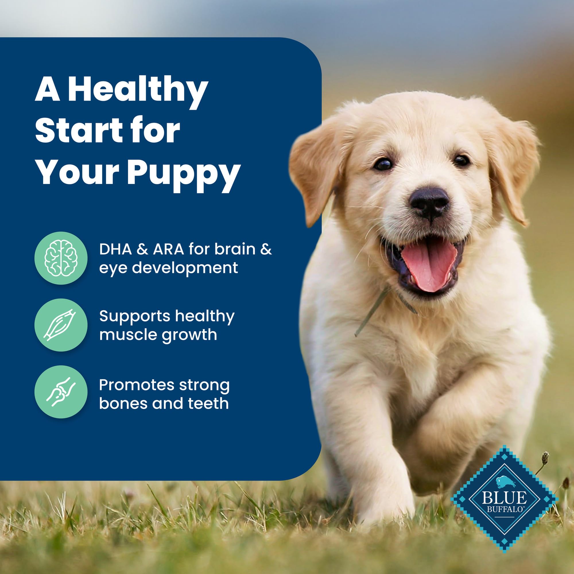 Foto 6 pulgar | Alimento Para Perros Blue Buffalo Life Protection Puppy Lamb 15,42 Kg - Venta Internacional.