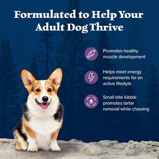 Foto 4 | Alimento Para Perros Blue Buffalo Wilderness Con Alto Contenido De Proteínas Con Pollo De 12,7 Kg - Venta Internacional