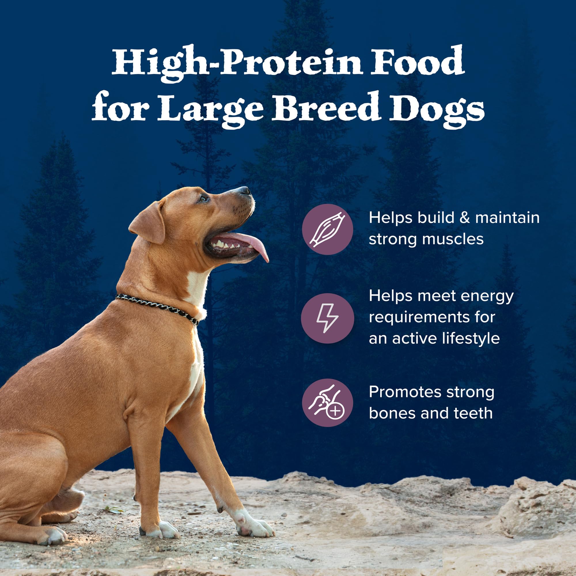 Foto 5 pulgar | Alimento Seco Blue Buffalo Wilderness Rocky Mountain Para Perros De 12,7 Kg - Venta Internacional.