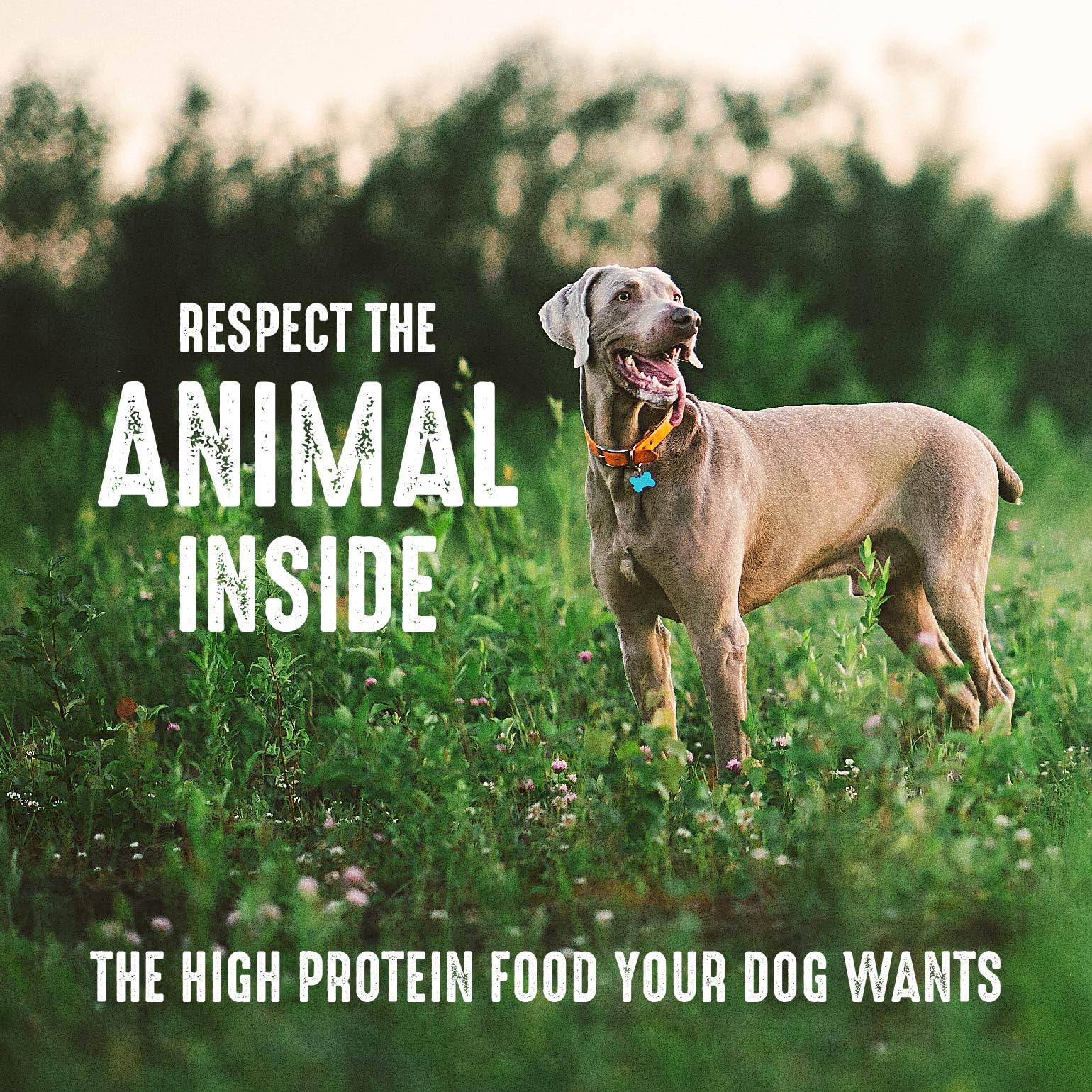 Foto 7 pulgar | Alimento Para Perros Crave, Pescado Blanco Rico En Proteínas, Sin Cereales, 13,6 Kg - Venta Internacional.
