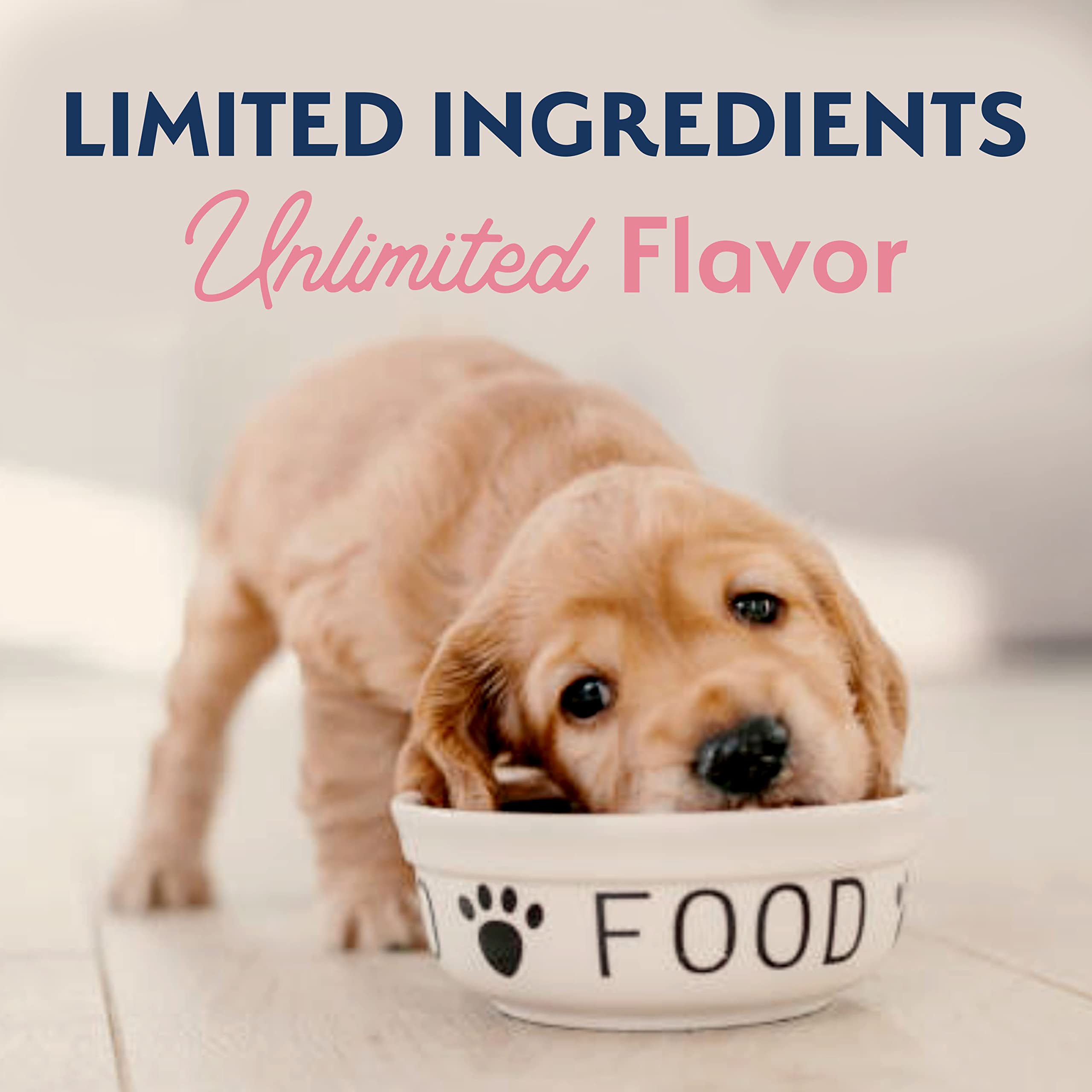 Foto 8 pulgar | Alimento Para Perros Natural Balance, Ingrediente Limitado, Salmón Para Cachorros, 11 Kg - Venta Internacional.