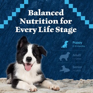 Foto 7 | Comida Seca Blue Buffalo Wilderness Puppies, 2,04 Kg, Carne Roja - Venta Internacional.