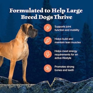 Foto 4 | Alimento Seco Blue Buffalo Wilderness Para Perros Grandes, 12,7 Kg - Venta Internacional.