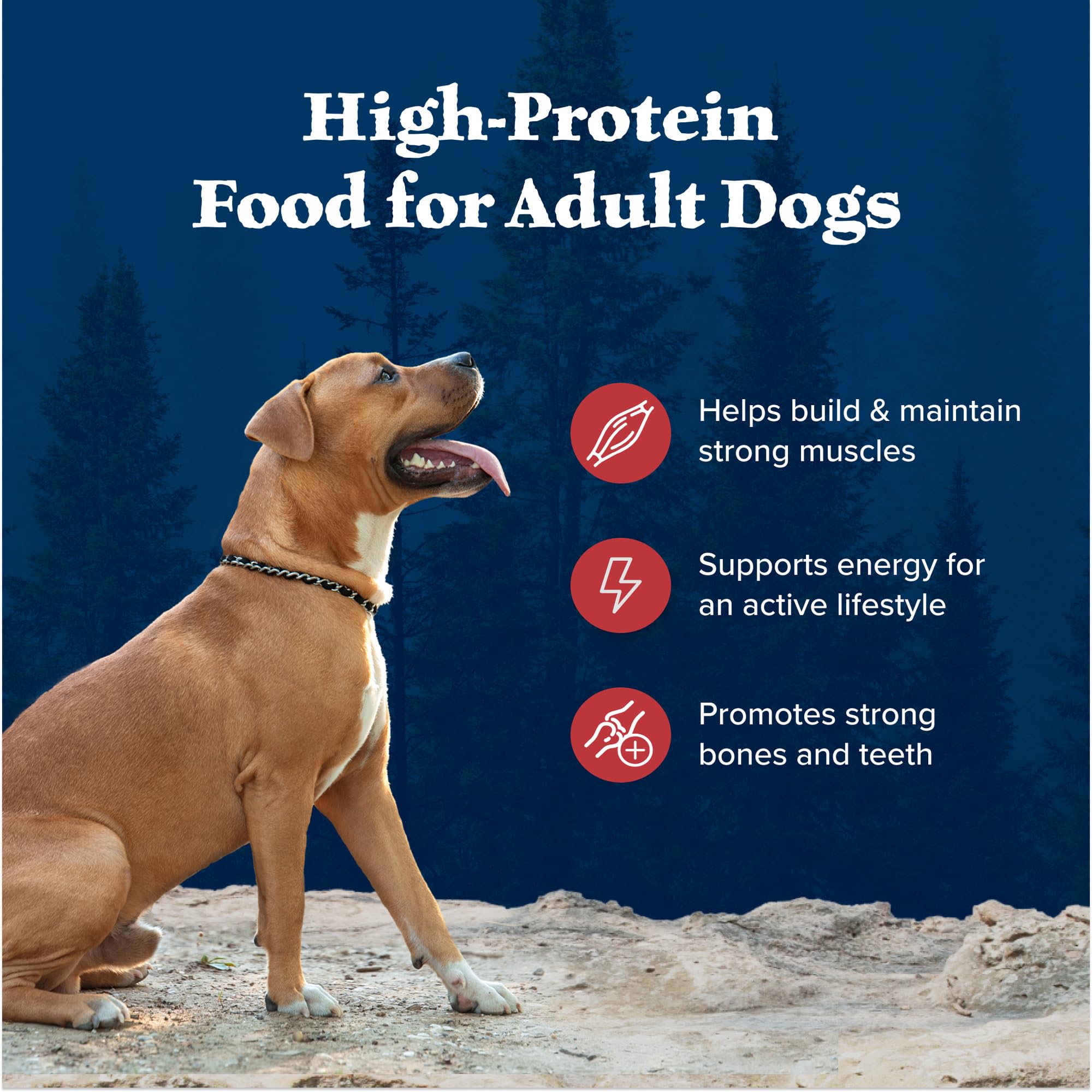 Foto 5 pulgar | Alimento Para Perros Blue Buffalo Wilderness Rocky Mountain Beef 2 Kg - Venta Internacional.