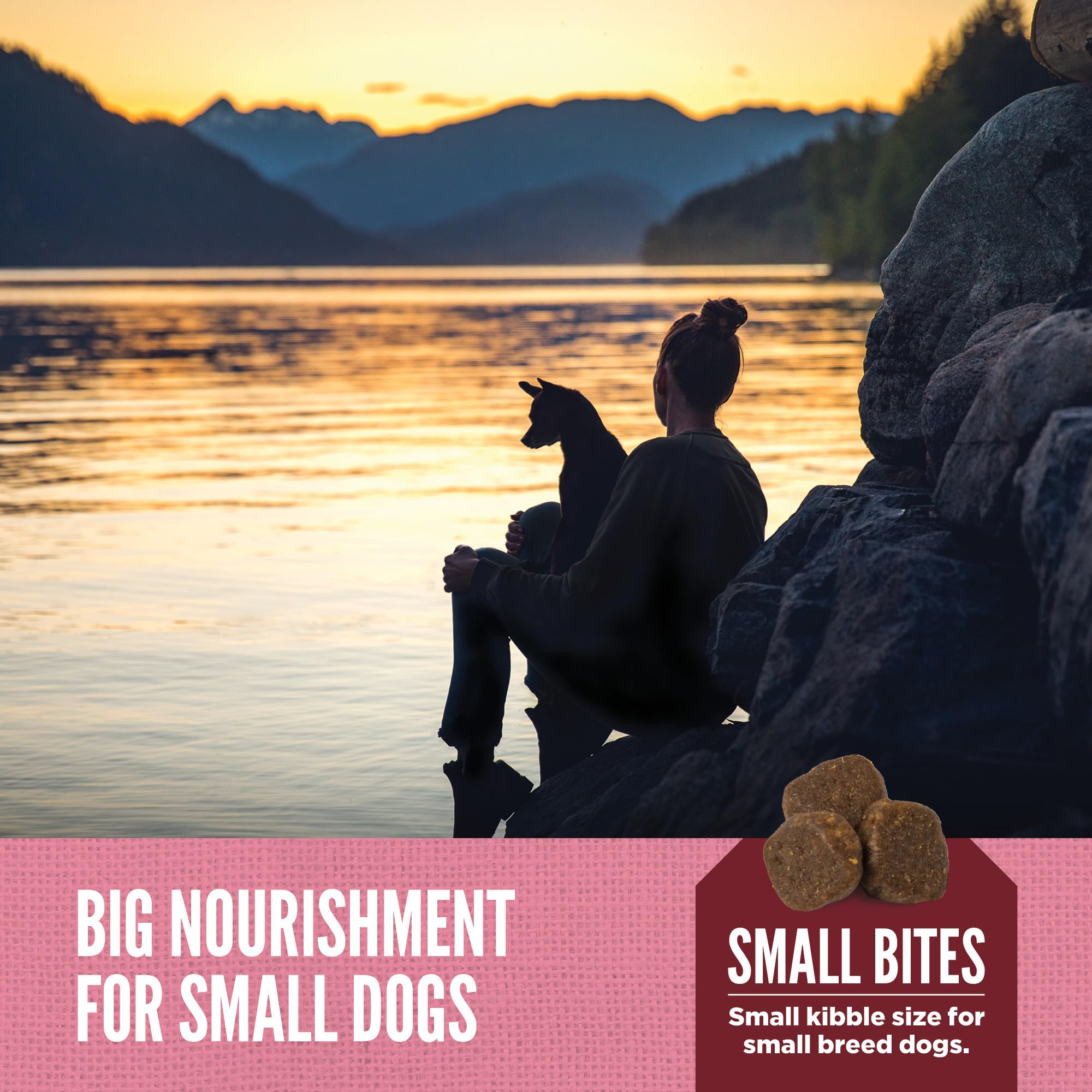 Foto 7 pulgar | Alimento Seco Para Perros Orijen Amazing Grains™ Para Razas Pequeñas, 1,8 Kg - Venta Internacional.