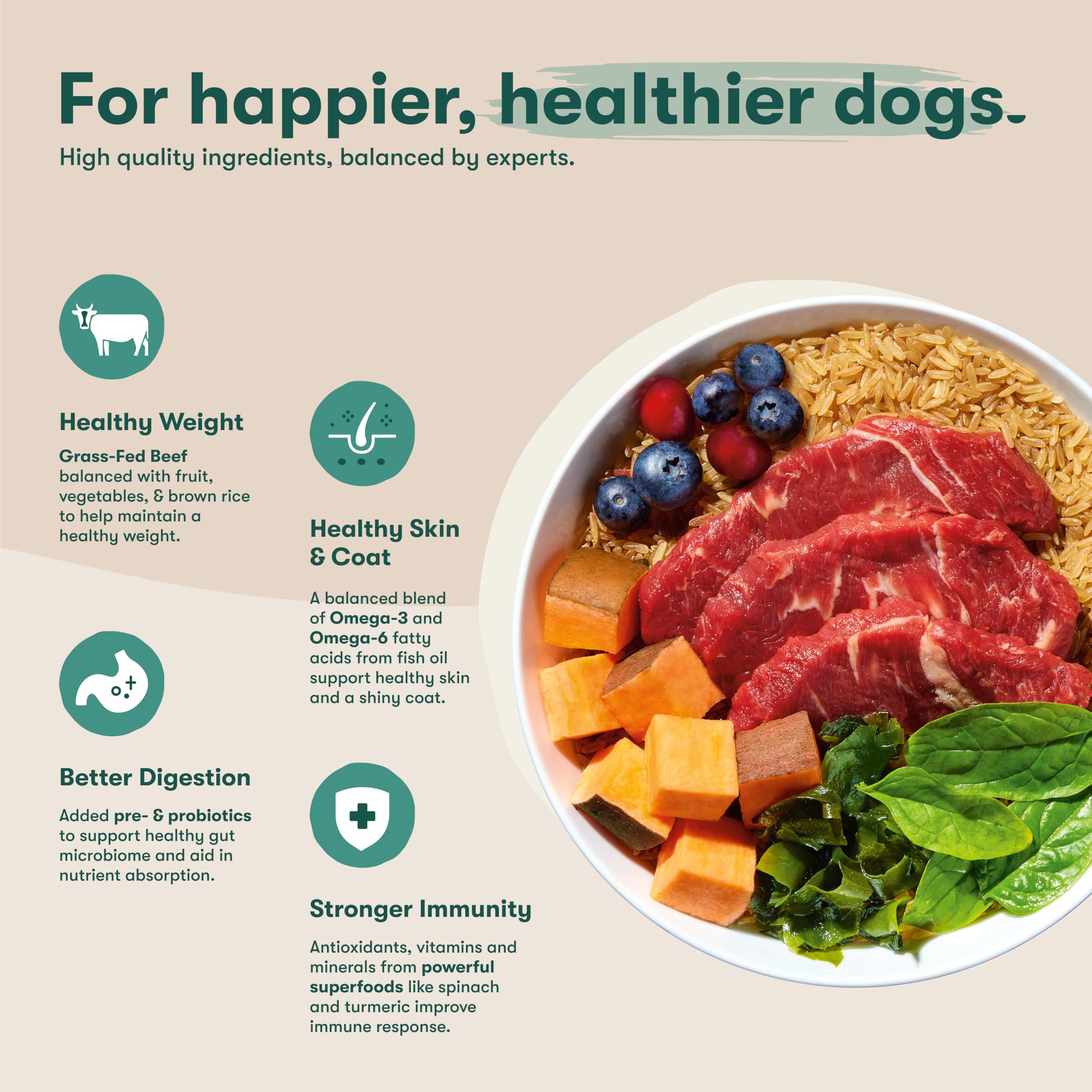 Foto 4 pulgar | Alimento Seco Para Perros Jinx Premium Real Beef, Arroz Integral, 1,8 Kg - Venta Internacional.