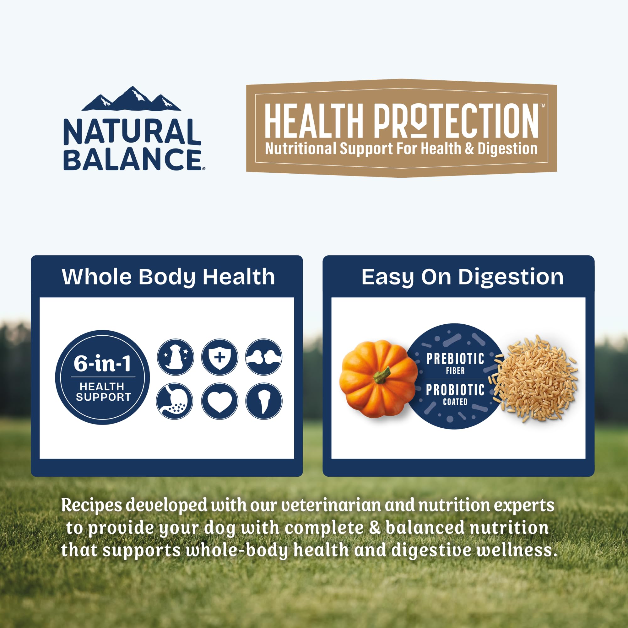 Foto 4 pulgar | Alimento Seco para Perros Natural Balance Health Protection Lamb 11 Kg - Venta Internacional
