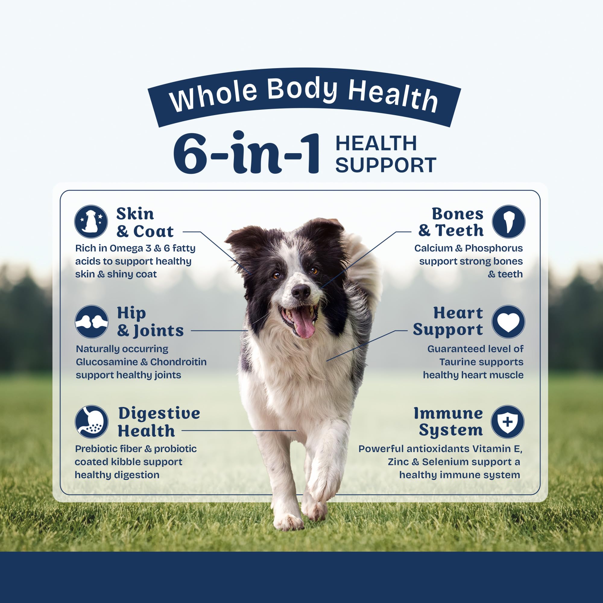 Foto 4 | Alimento Seco para Perros Natural Balance Health Protection Lamb 11 Kg - Venta Internacional