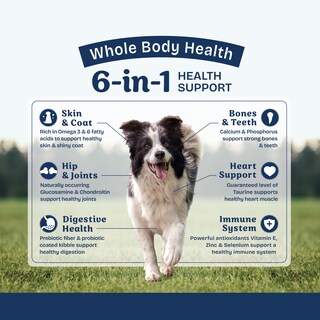 Foto 4 | Alimento Seco para Perros Natural Balance Health Protection Lamb 11 Kg - Venta Internacional