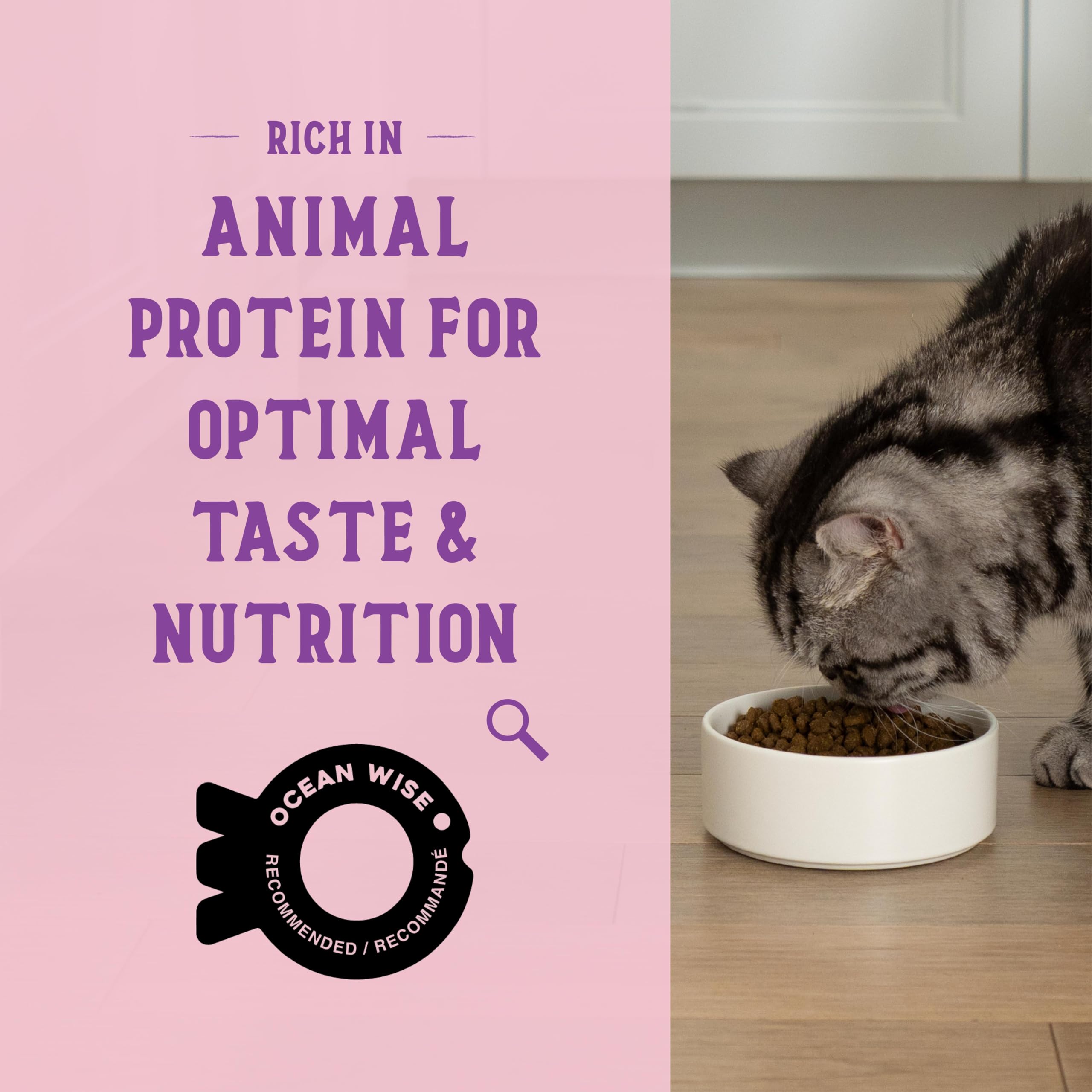 Foto 5 | Alimento Seco Para Gatos Open Farm Goodbowl Con Salmón Y Arroz Integral, 3,18 Kg - Venta Internacional.