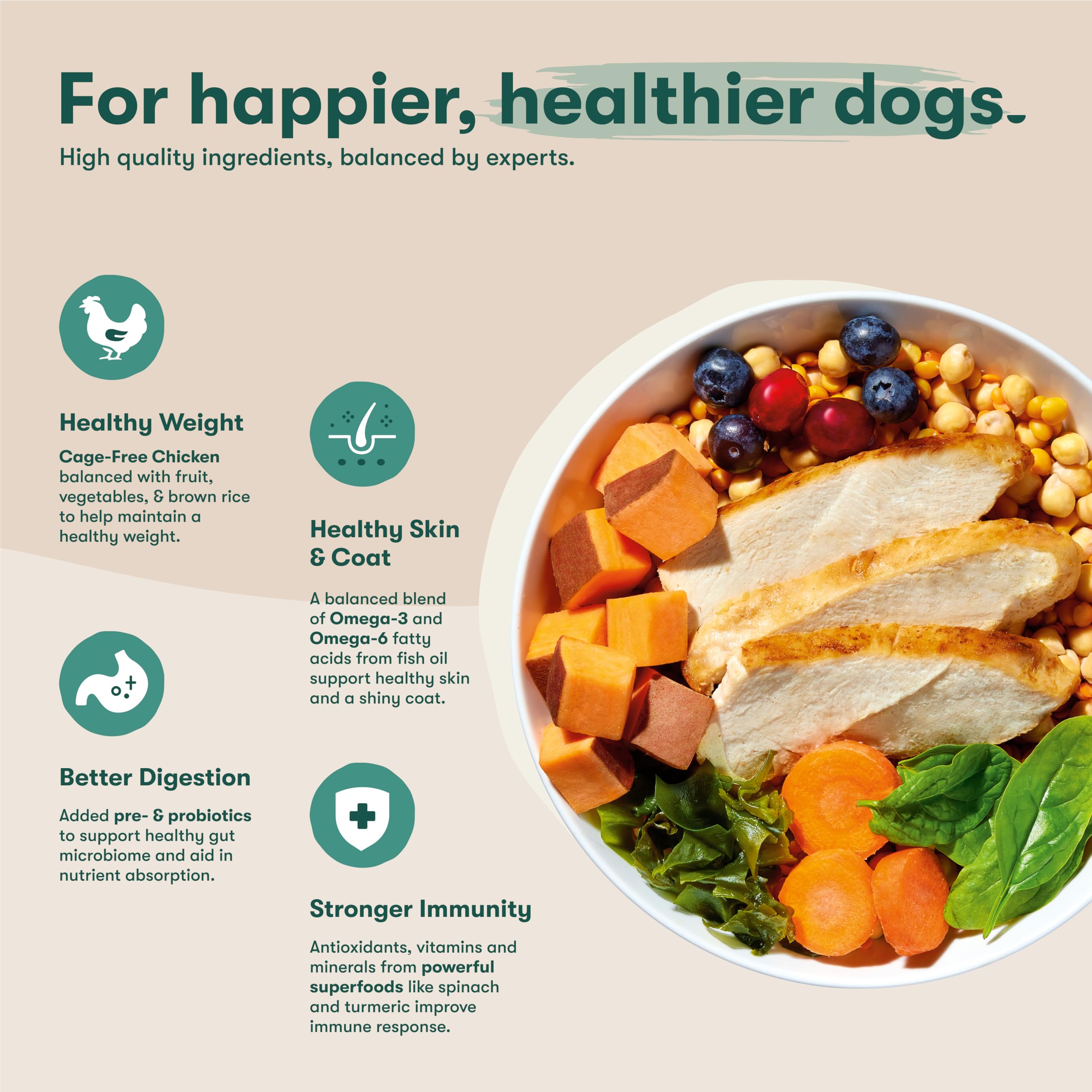 Foto 4 pulgar | Comida para Perros Jinx Premium Sin Cereales 1,8 Kg Todas las Etapas - Venta Internacional