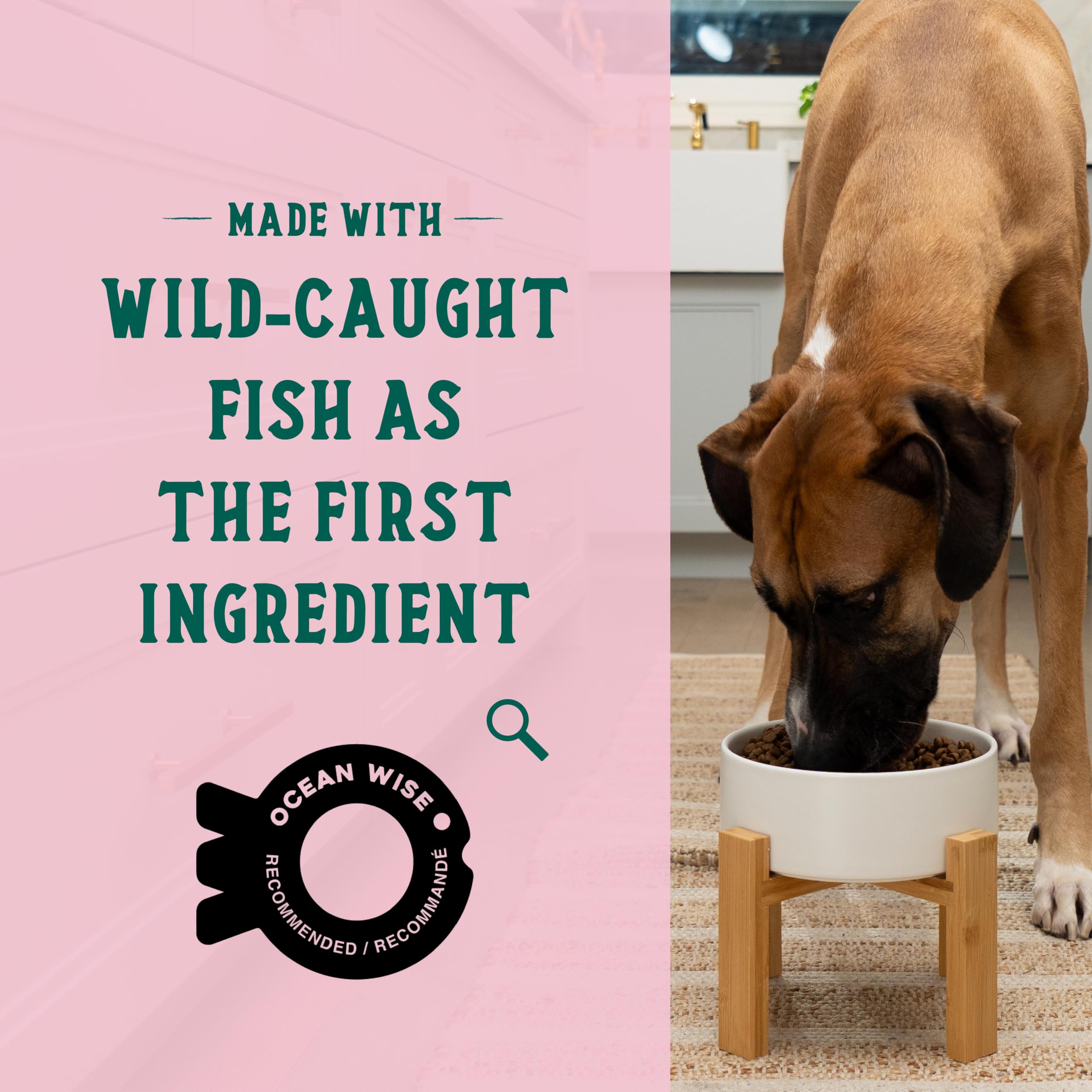 Foto 4 | Alimento Seco Para Perros Open Farm Goodbowl Wild Salmon 1,6 Kg - Venta Internacional.