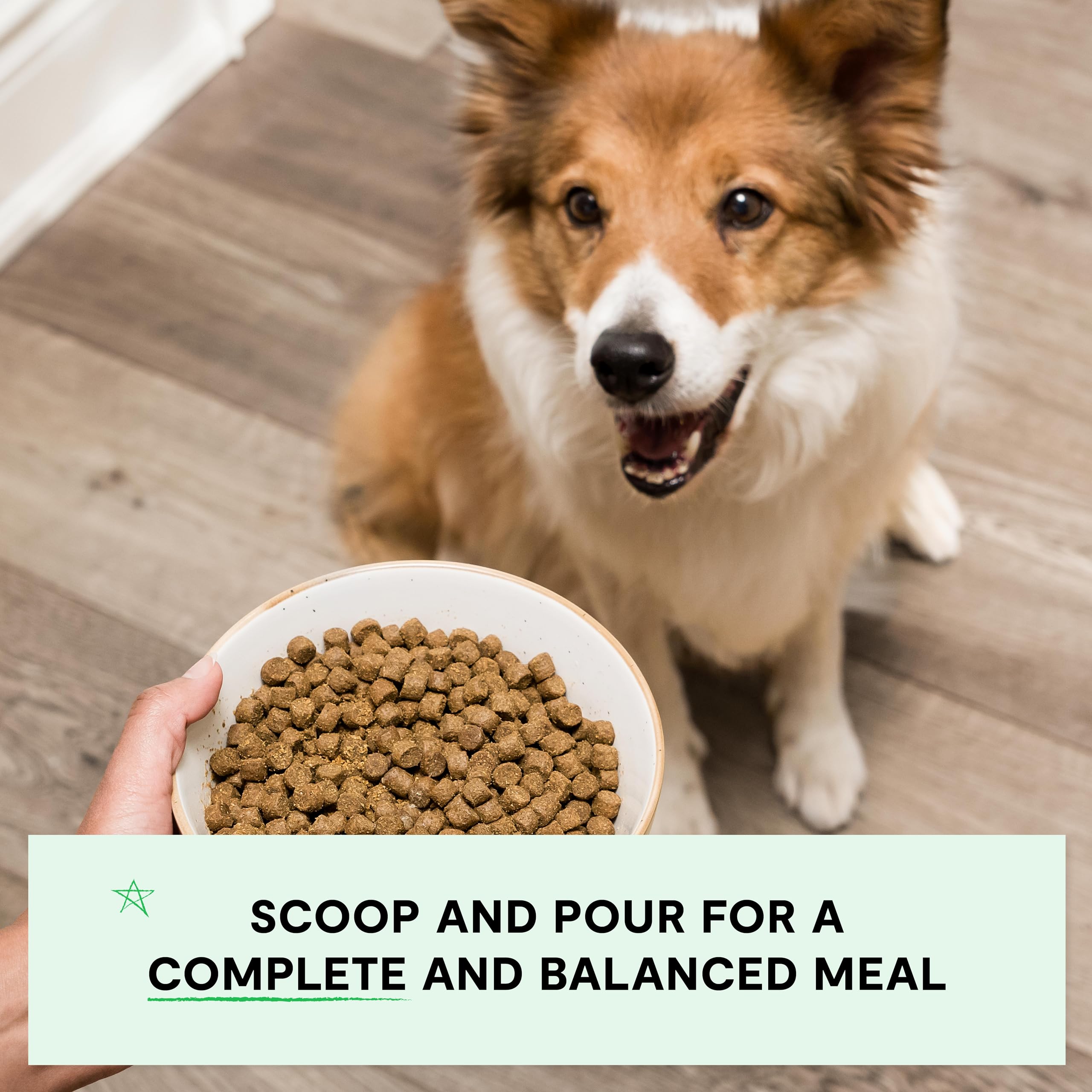 Foto 5 pulgar | Comida Seca Para Perros Open Farm, Receta Completa Y Equilibrada De Cordero De 1,8 Kg - Venta Internacional.