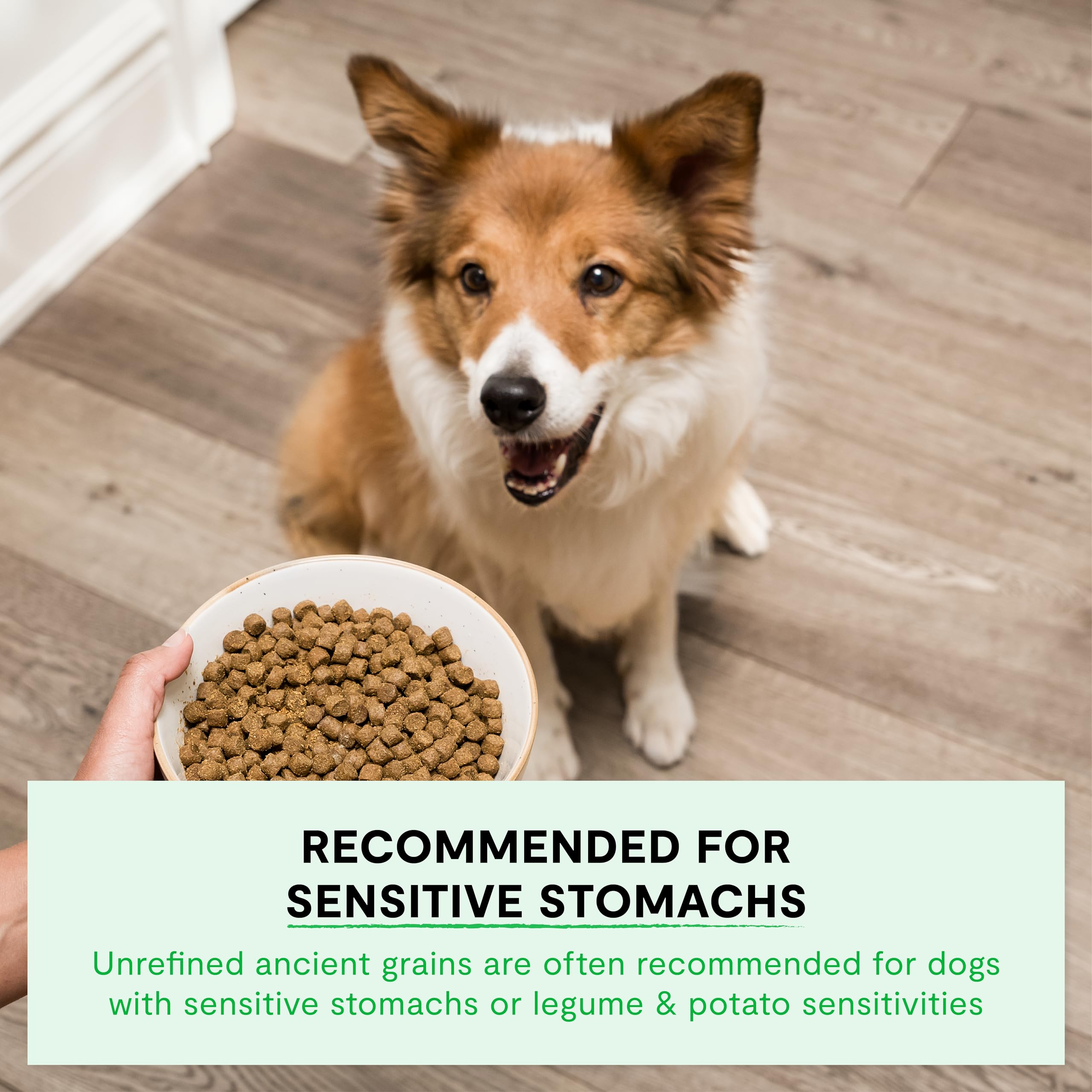 Foto 5 pulgar | Comida Seca Para Perros Open Farm Ancient Grains, 1,8 Kg, Farmer's Table - Venta Internacional.