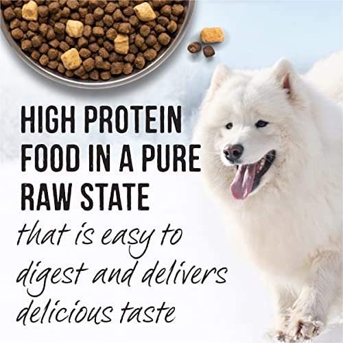 Foto 6 pulgar | Alimento Para Perros Merrick Backcountry Raw Infused Big Game, 9 Kg - Venta Internacional.