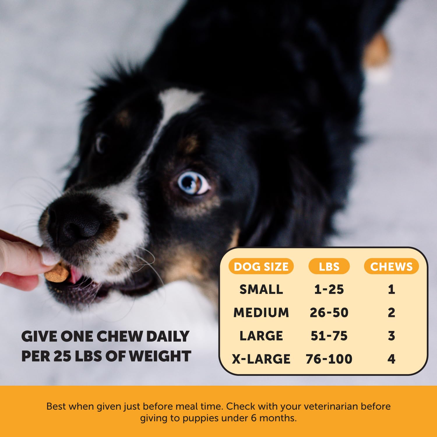 Foto 5 | Suplemento Pet Honesty Para Aliviar La Picazón De La Alergia Para Perros, 90 Masticables - Venta Internacional.