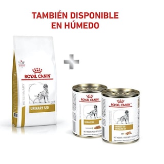 Foto 2 | Royal Canin Urinary So Moderate Calorie 8 Kg Original Sellado