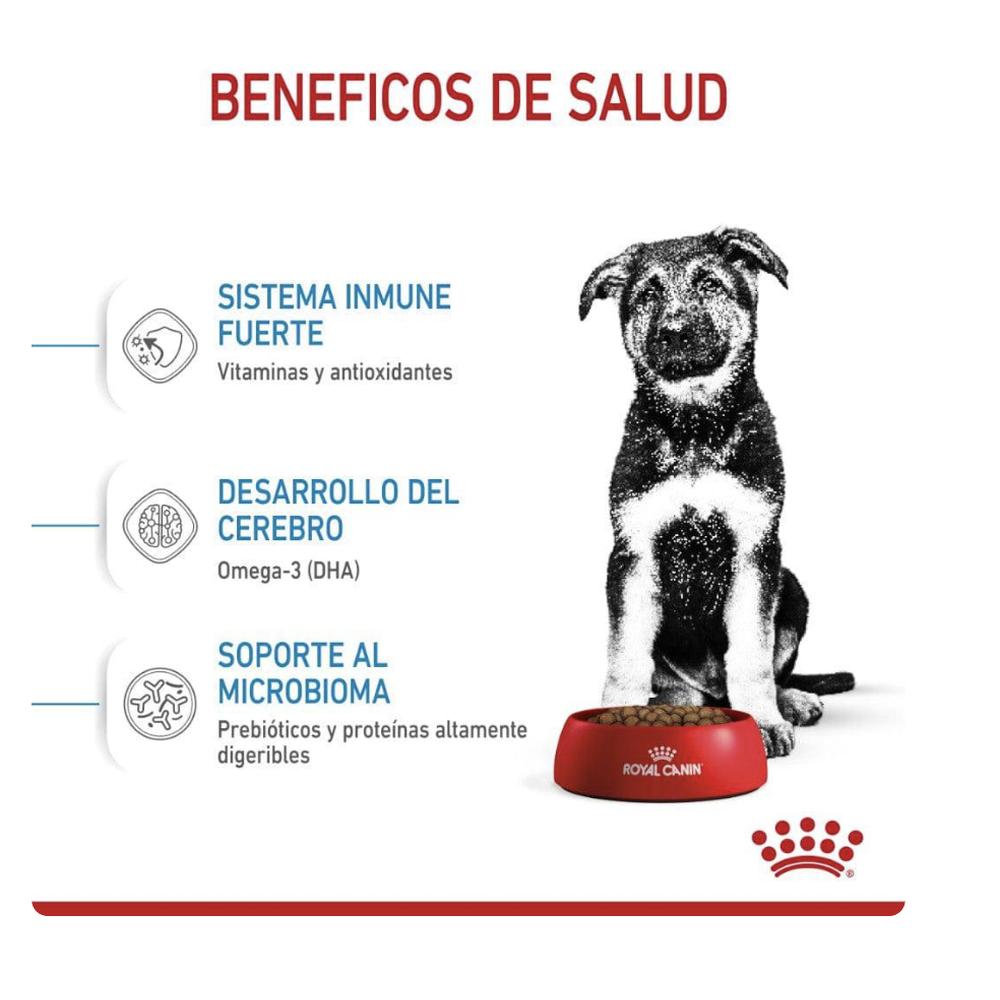 Foto 4 pulgar | Royal Canin Large Puppy 13.6 Kg Original Sellado