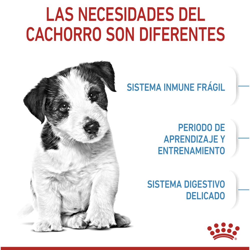 Foto 4 pulgar | Royal Canin Small Puppy 6.36 Kg Original Sellado