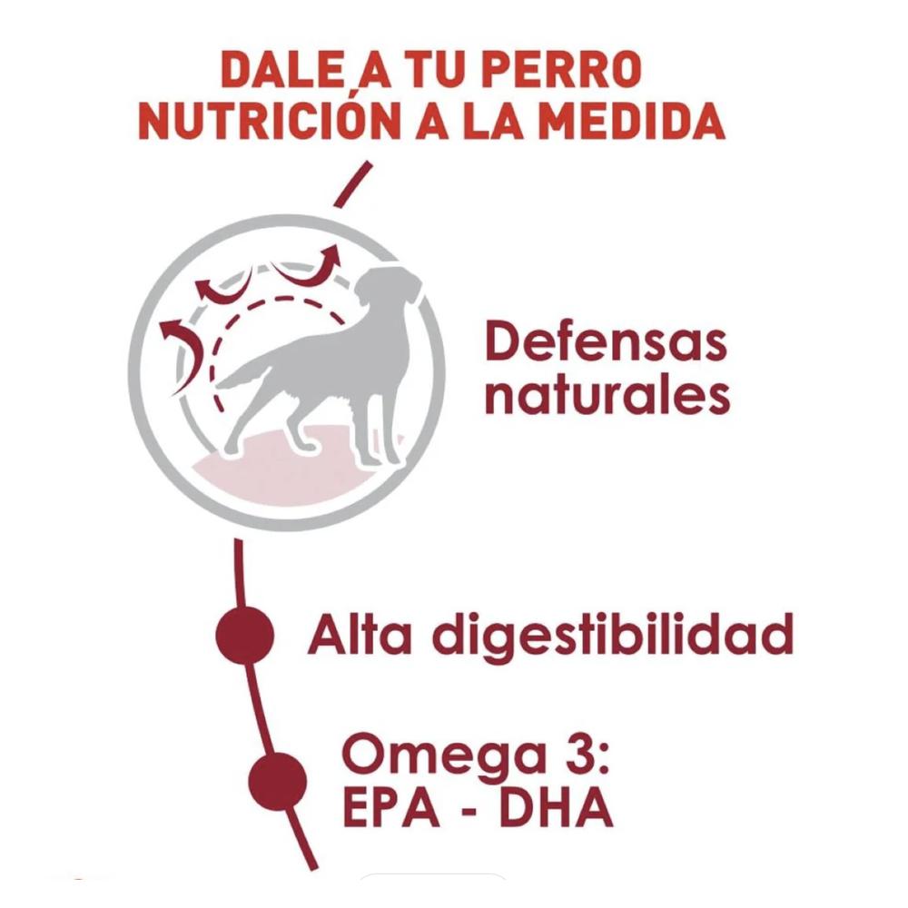 Foto 4 pulgar | Royal Canin Medium Adult 7.7 Kg Original Sellado