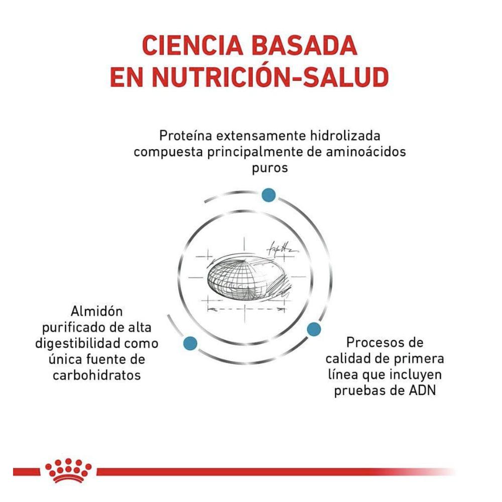 Foto 3 pulgar | Royal Canin Anallergenic 4 Kg Original Sellado