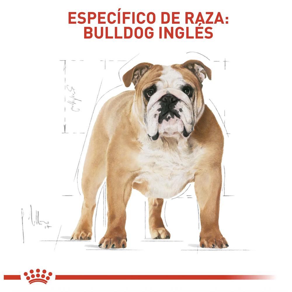 Foto 3 pulgar | Royal Canin Bhn Bulldog Puppy 2.73 Kg Original Sellado