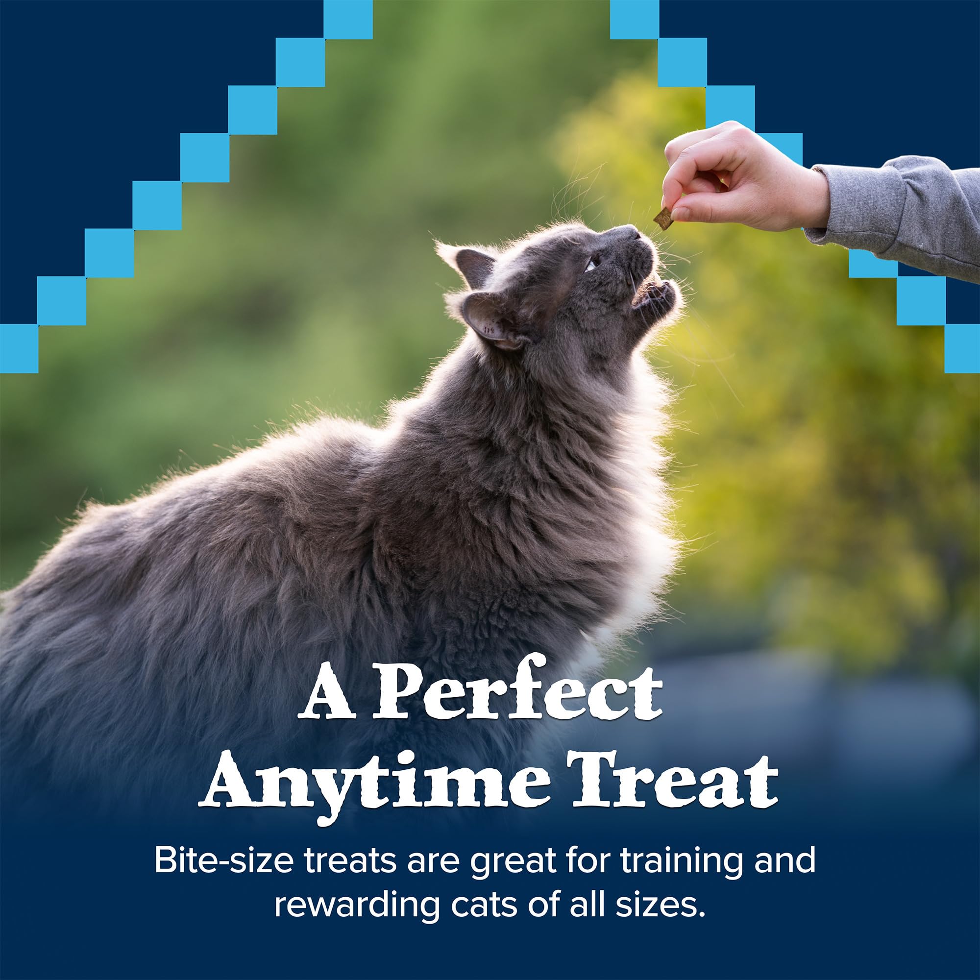 Foto 5 pulgar | Pollo Crujiente Cat Treats Blue Buffalo Wilderness, 340 Ml - Venta Internacional.
