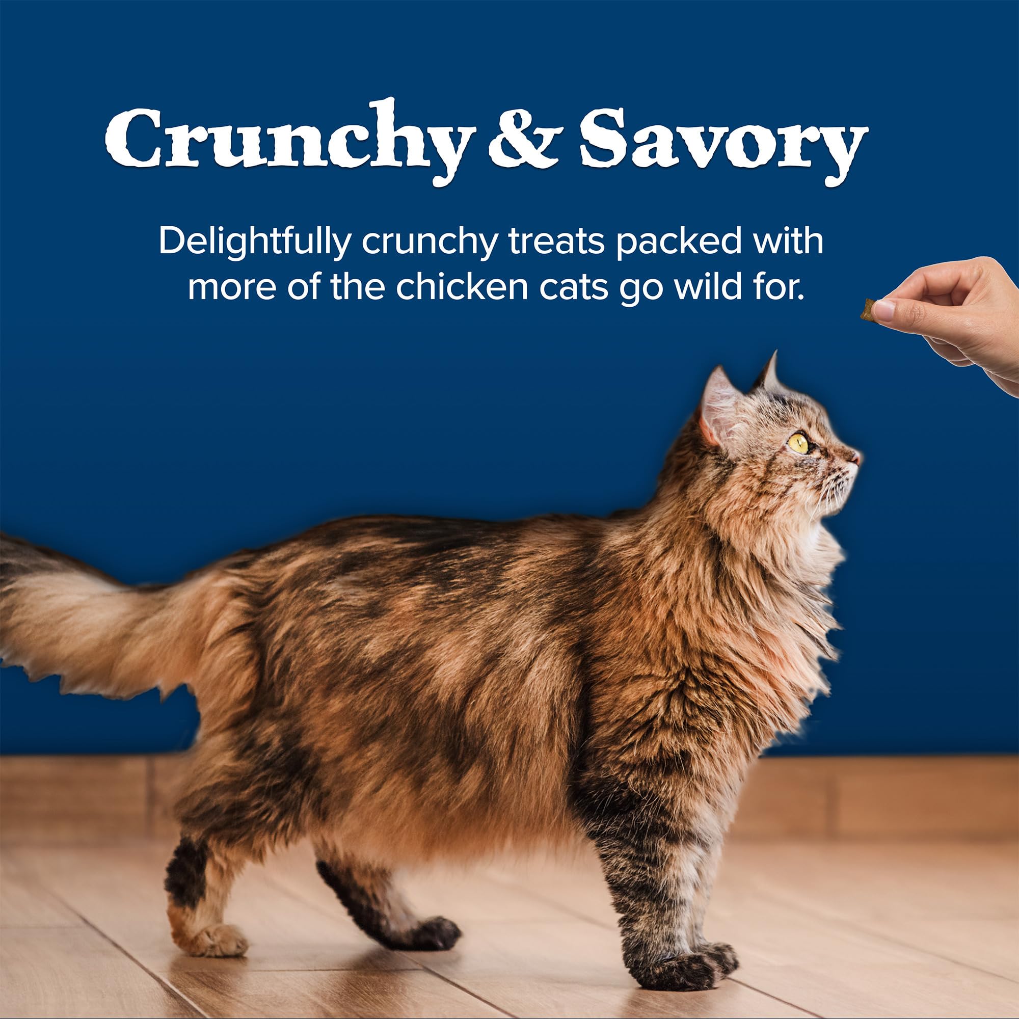 Foto 7 pulgar | Pollo Crujiente Cat Treats Blue Buffalo Wilderness, 340 Ml - Venta Internacional.