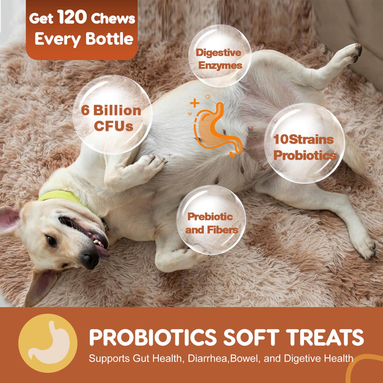 Foto 3 | Probióticos Para Perros Zebora Digestive Health +pumpkin 120 Soft - Venta Internacional.