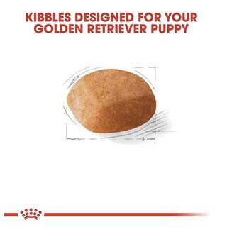 Foto 2 | Royal Canin Bhn Golden Retriever Puppy 13.6 Kg Original