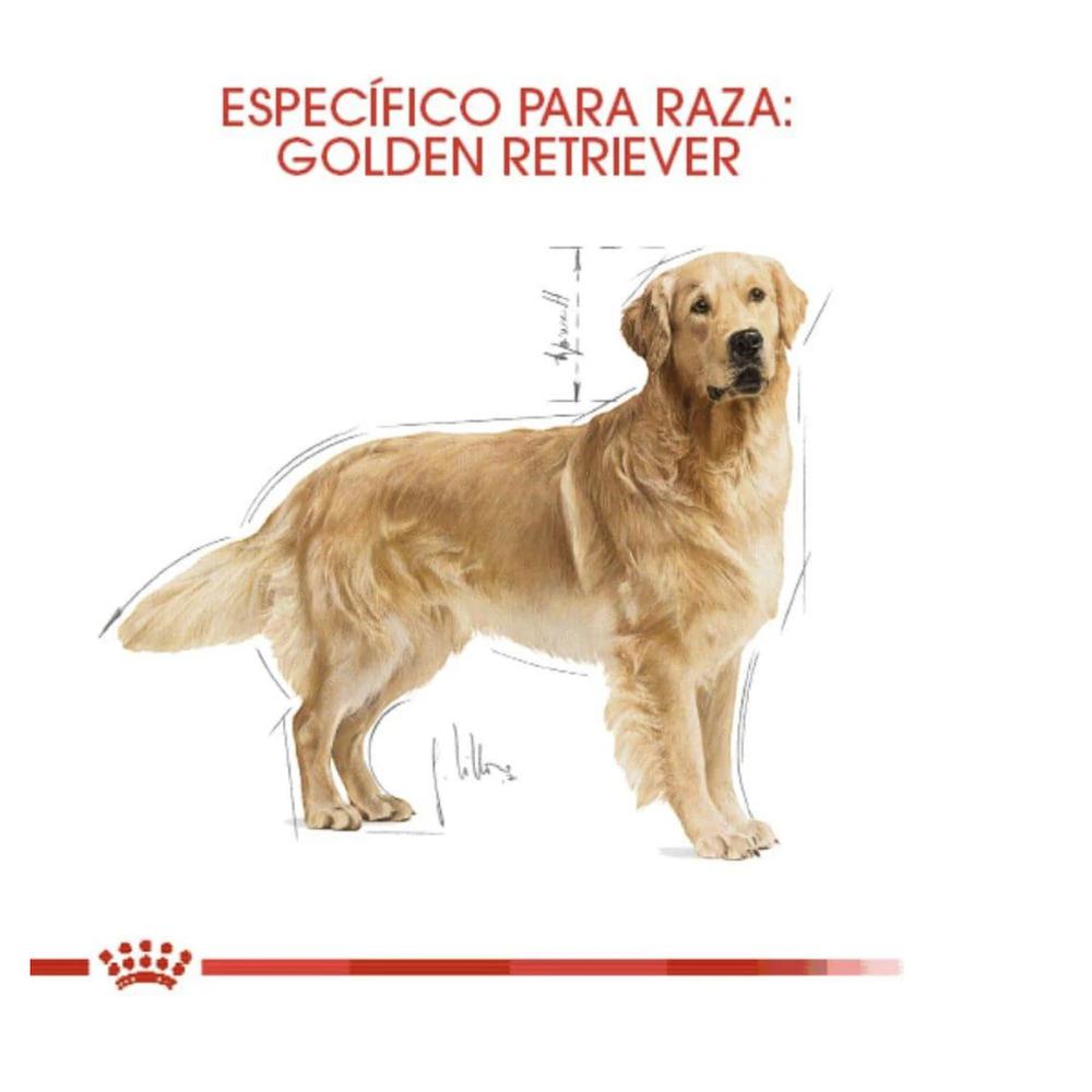 Foto 3 pulgar | Royal Canin Golden Retriever 13.6 Kg Original Sellado