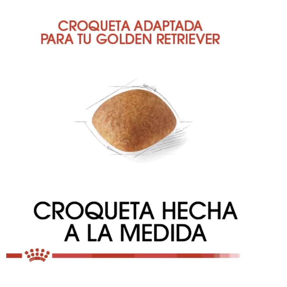 Foto 4 pulgar | Royal Canin Golden Retriever 13.6 Kg Original Sellado