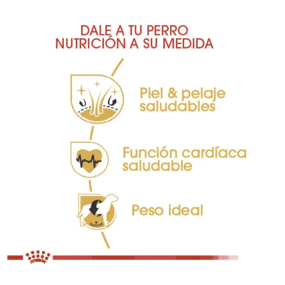 Foto 5 pulgar | Royal Canin Golden Retriever 13.6 Kg Original Sellado