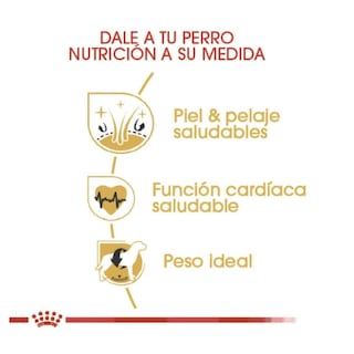 Foto 4 | Royal Canin Golden Retriever 13.6 Kg Original Sellado