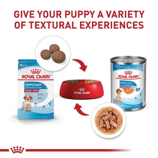 Foto 3 | Royal Canin Medium Puppy 2.7 Kg Original Sellado
