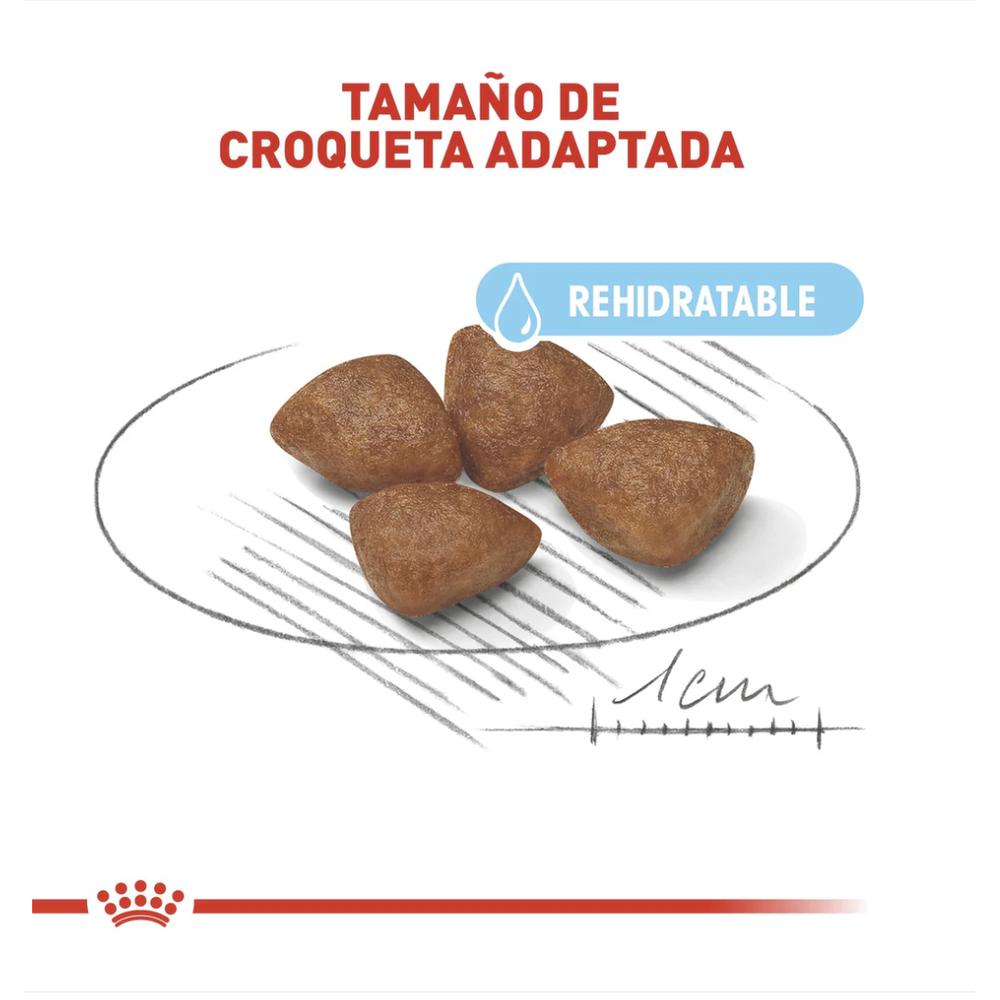 Foto 4 pulgar | Royal Canin Small Starter Mother & Baby 1.14 Kg