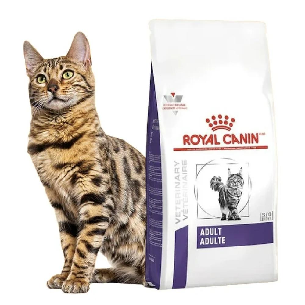 Foto 3 pulgar | Alimento para Gato Royal Canin Adult Feline 10 Kg