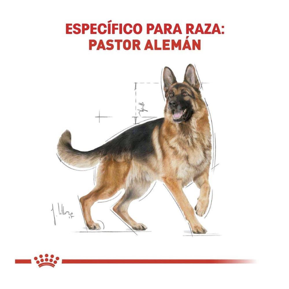 Foto 4 pulgar | Royal Canin Bhn German Shepherd 13.6 Kg Original