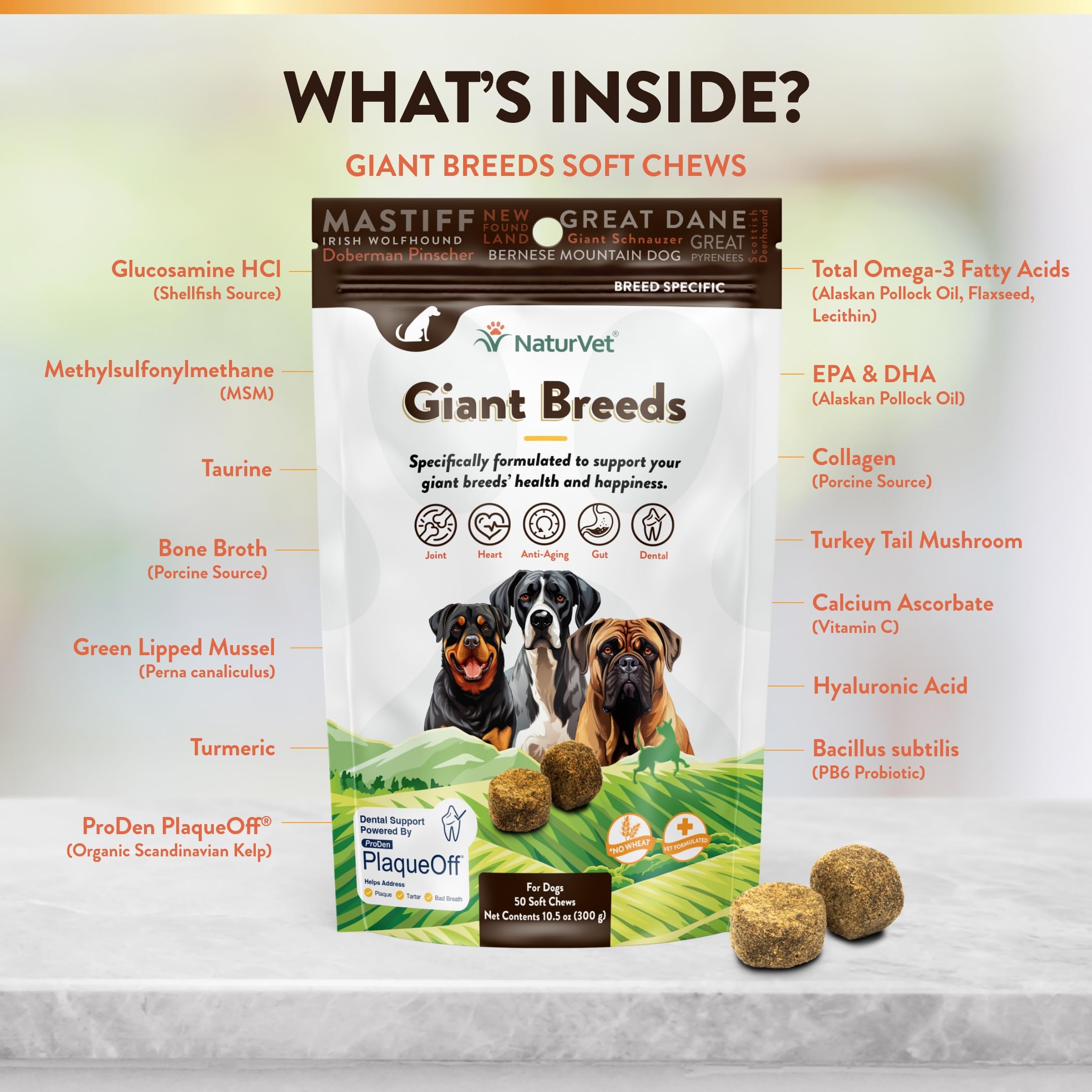 Foto 3 | Suplemento Para Perros Naturvet Giant Breeds Joint Support, 50 Masticables Blandos - Venta Internacional.