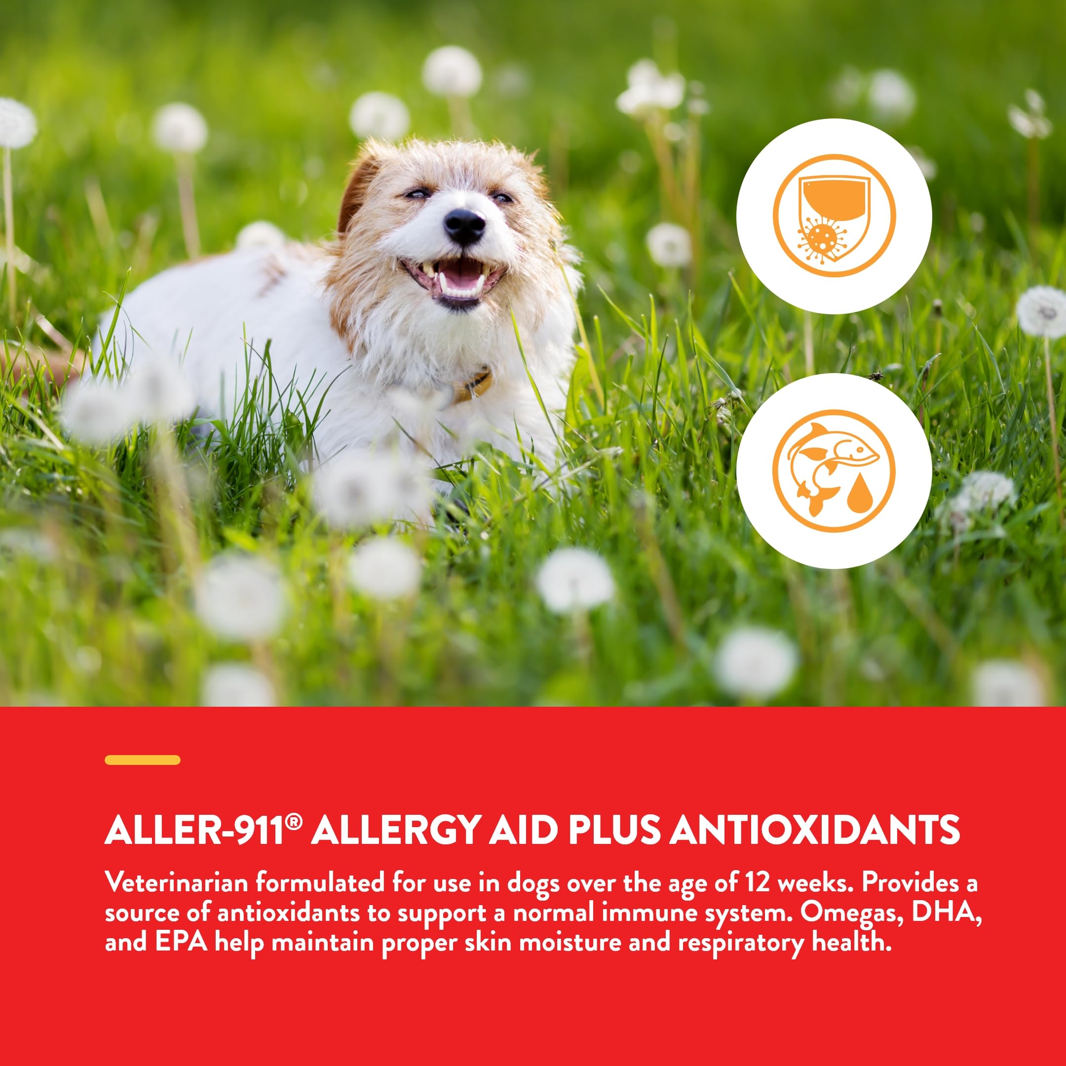 Foto 5 pulgar | Suplemento Para Mascotas Naturvet Aller-911 Advanced Aller-911, Antialérgico, 180 Masticables - Venta Internacional.