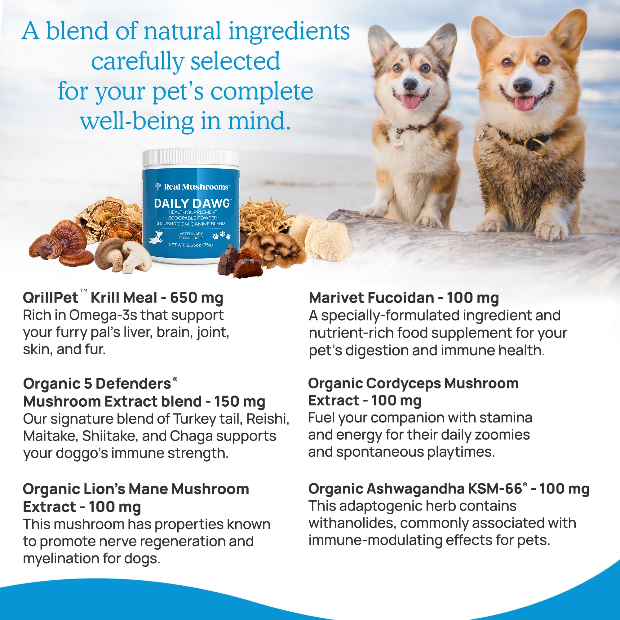 Foto 7 pulgar | Suplemento Real Mushrooms Whole Dog Health Para Perros 75 G - Venta Internacional.