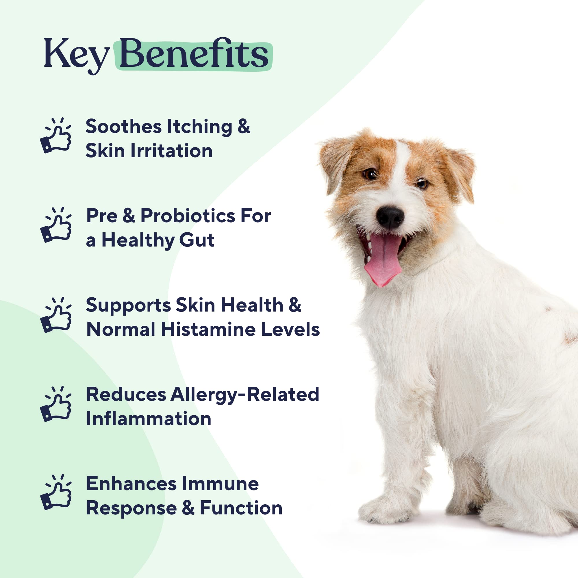 Foto 2 | Suplemento Para Perros Pawfy Allergy & Immune Support Natural - Venta Internacional.