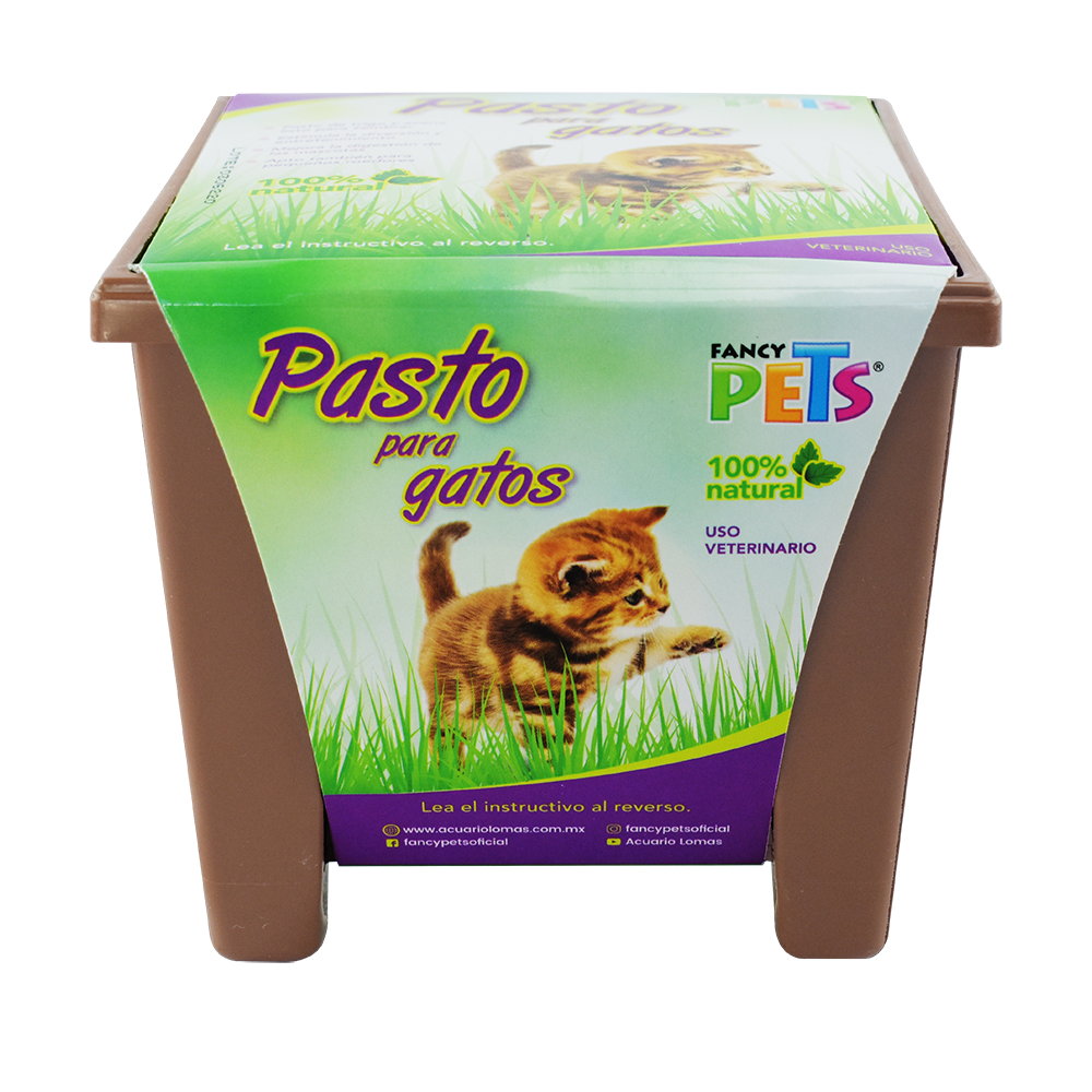 Foto 2 pulgar | Pasto 100% Natural para Gatos y Pequeños Roedores Fancy Pets con Maceta