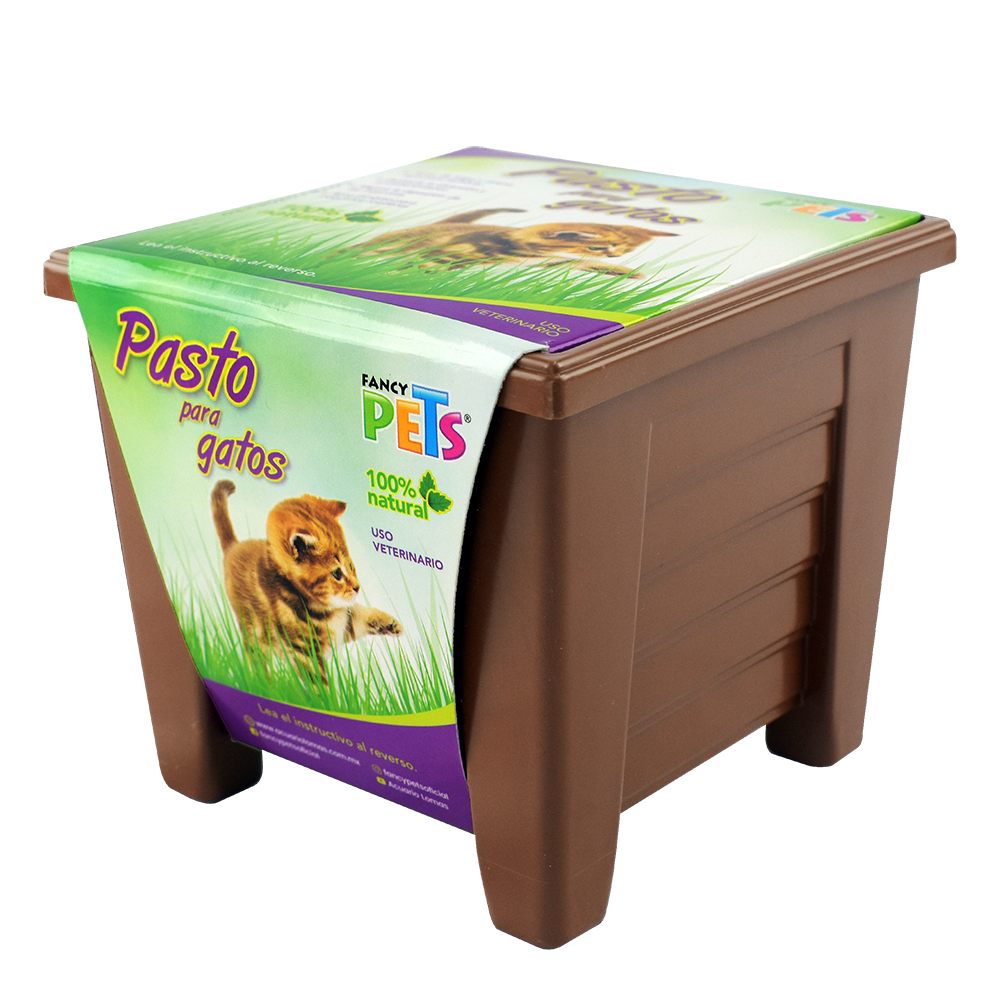 Foto 2 | Pasto 100% Natural para Gatos y Pequeños Roedores Fancy Pets con Maceta