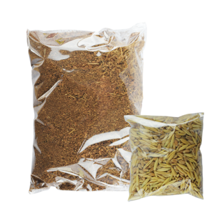 Foto 3 | Pasto 100% Natural para Gatos y Pequeños Roedores Fancy Pets con Maceta