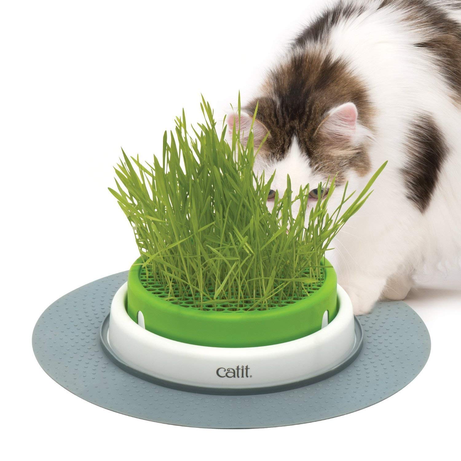 Maceta De Césped Para Gatos Catit Senses 2.0 Para Gatos De Interior - Venta Internacional.